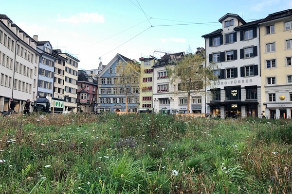 Naturnaher und klimaangepasster Aussenraum