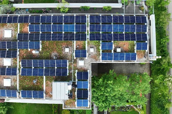 Amstein + Walthert bekennt Farbe: Grau-grün-blaue Planung